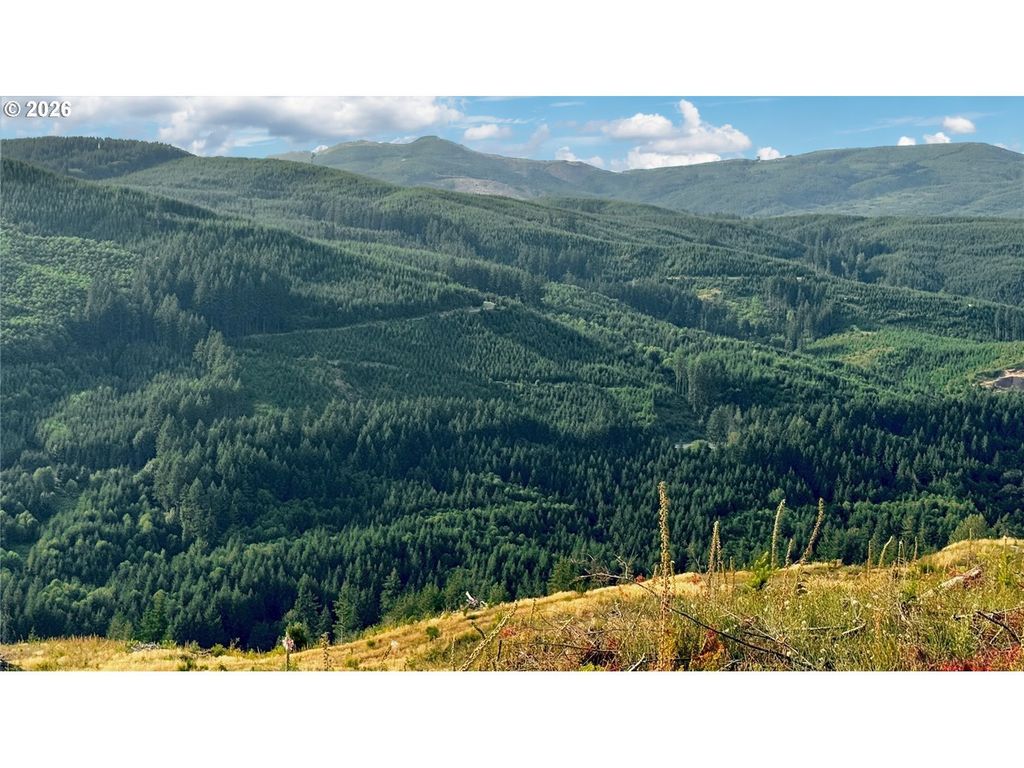 3727 Little Kalama River Rd H, Woodland
