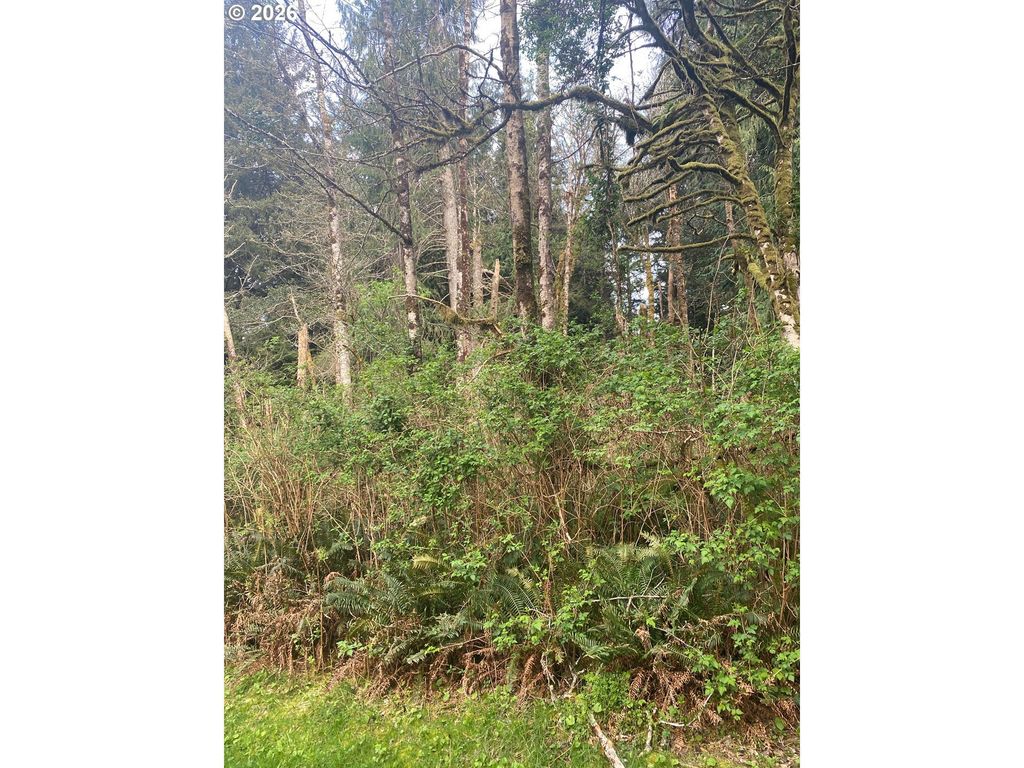 1000 Se 54th Dr, Lincoln City