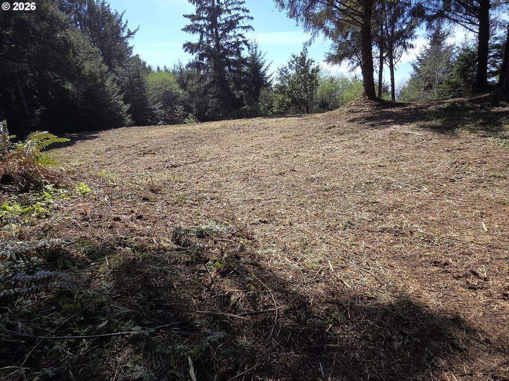 Hammond Ln 9, Gold Beach