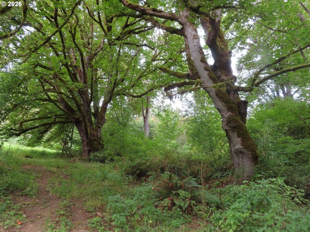Del Ray Rd, Mossyrock