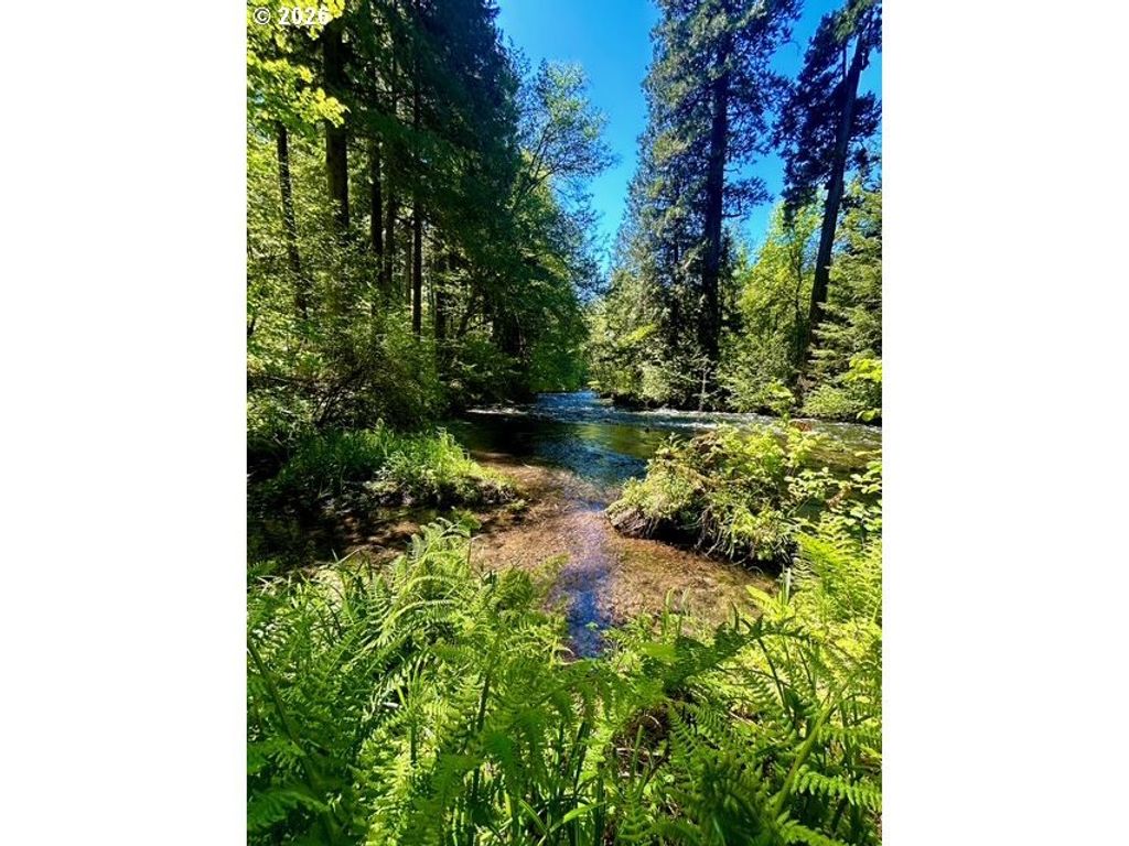 Mckenzie Hwy, McKenzie Bridge