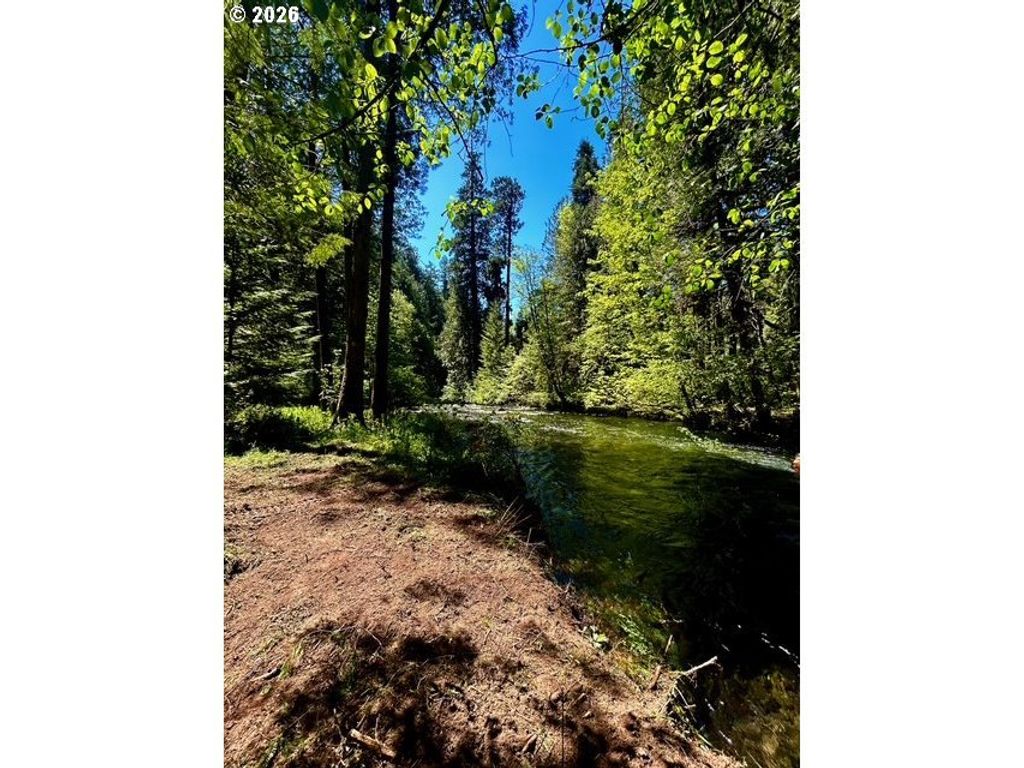 Mckenzie Hwy, McKenzie Bridge