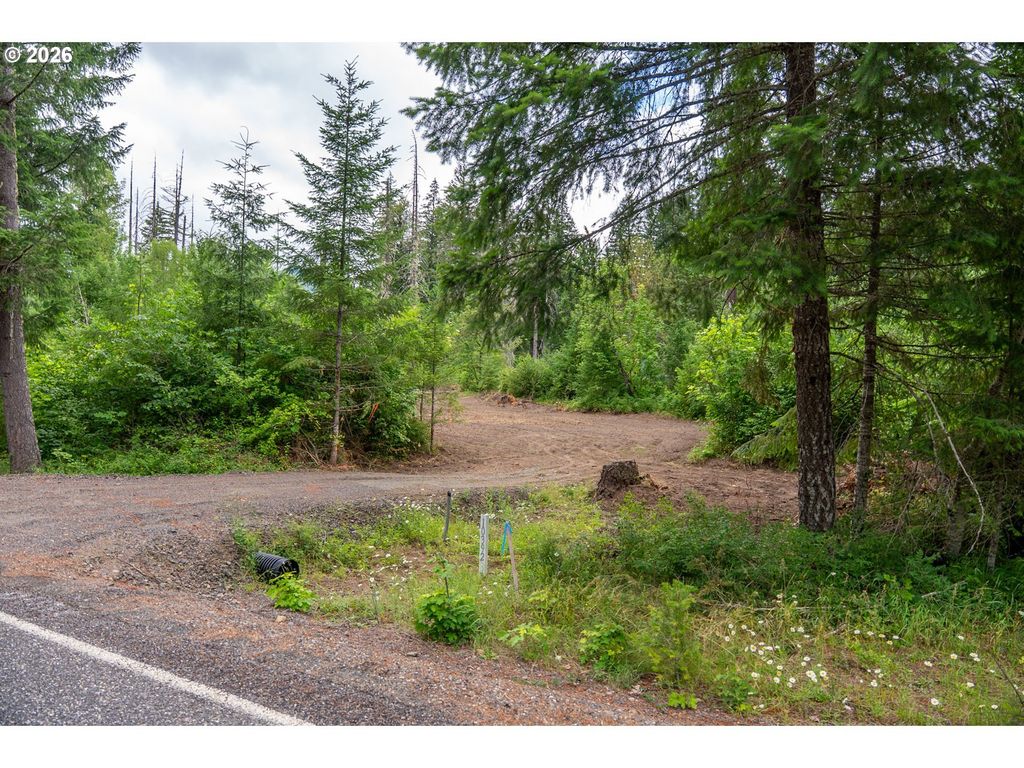 10392 Wind River Hwy, Carson