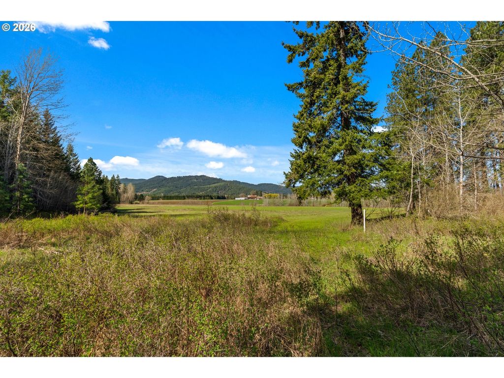Stoller Rd, Trout Lake
