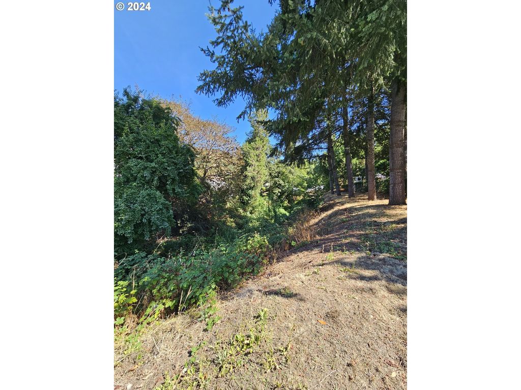 1843 Se Main St, Roseburg