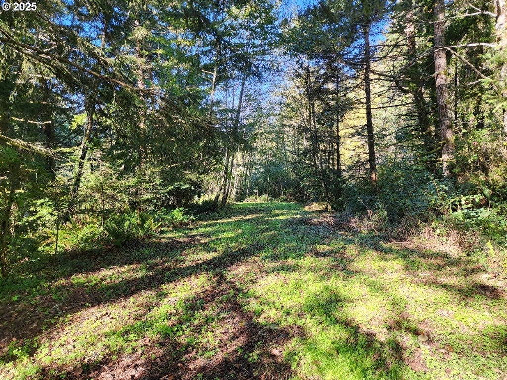 Eighty Acres Rd, Gold Beach