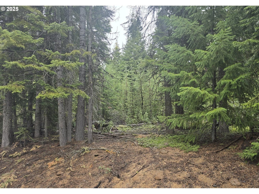 5 Royce Pine Rd, Crescent Lake