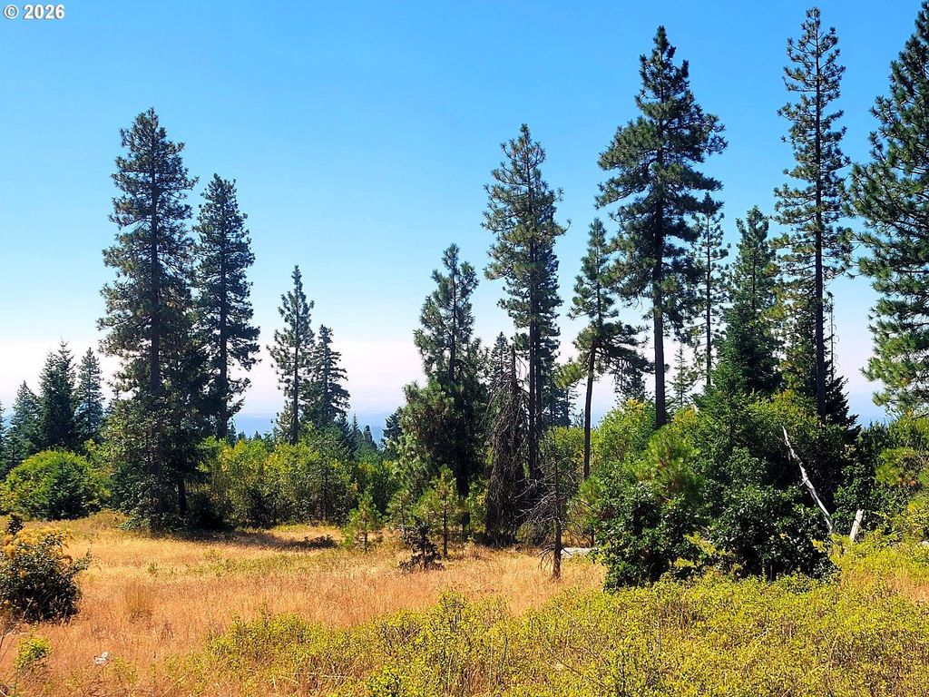 3 Simcoe Mtn Rsrv, Goldendale