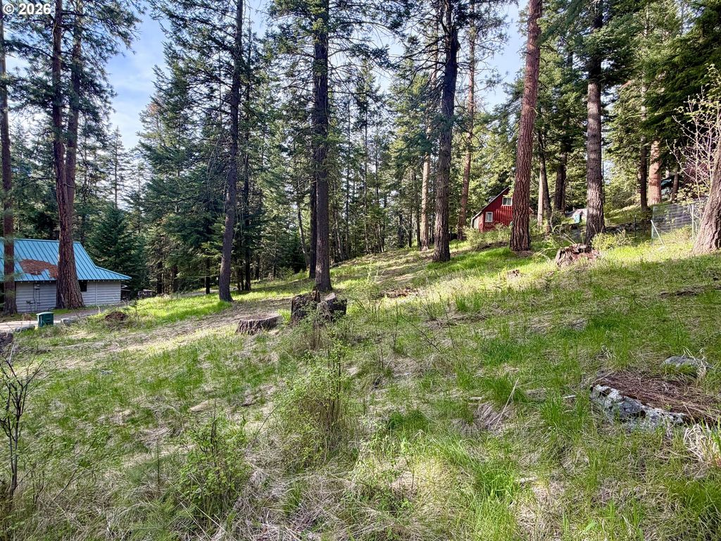 Forest Dell Ave, Wallowa Lake