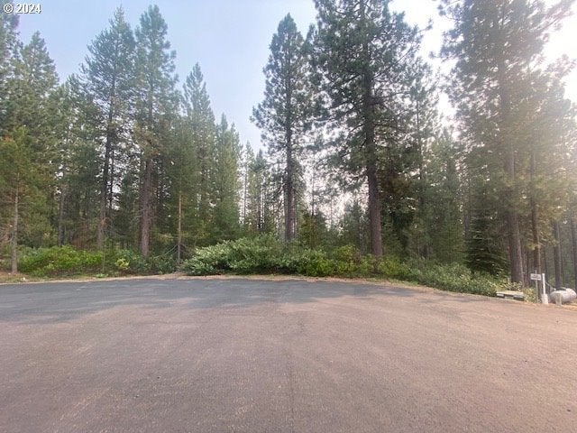 Snow Flake Ct 22, Crescent Lake