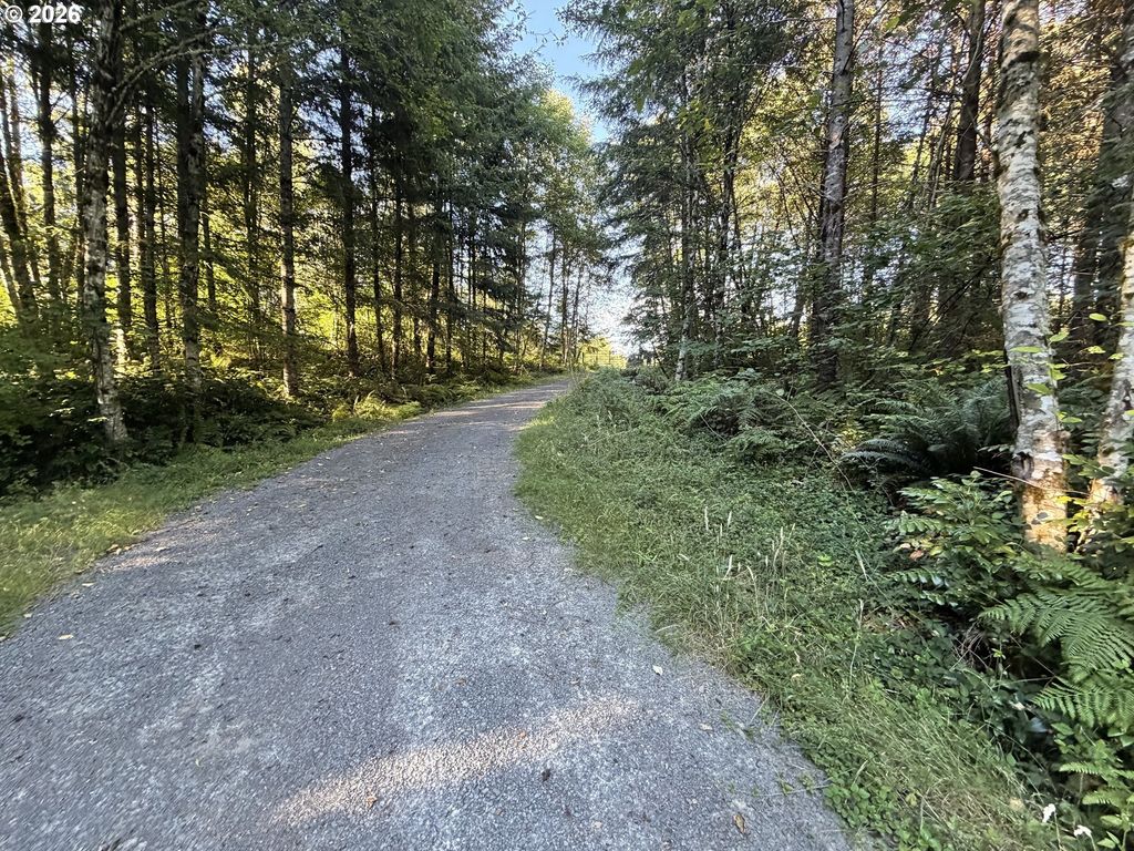217 Ham Rd, Amboy