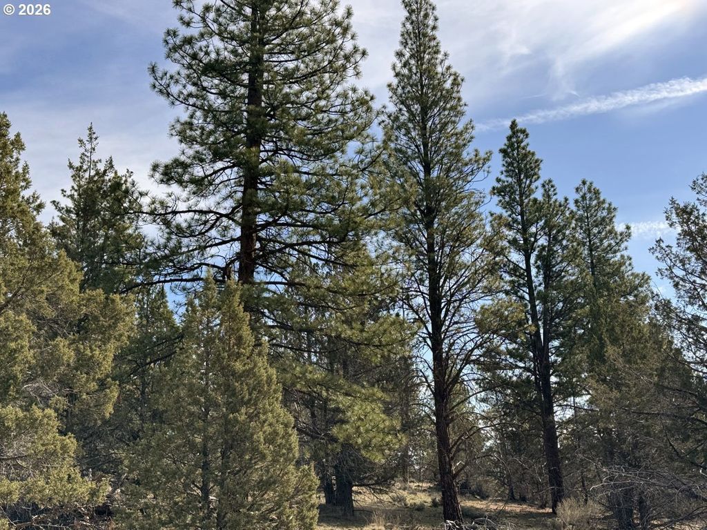 Off Hwy 140 900, Beatty