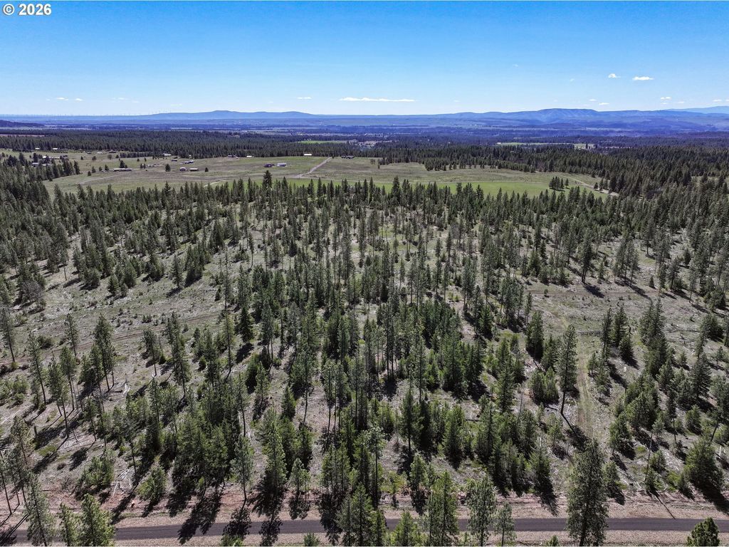 Ginger Way 2, Goldendale