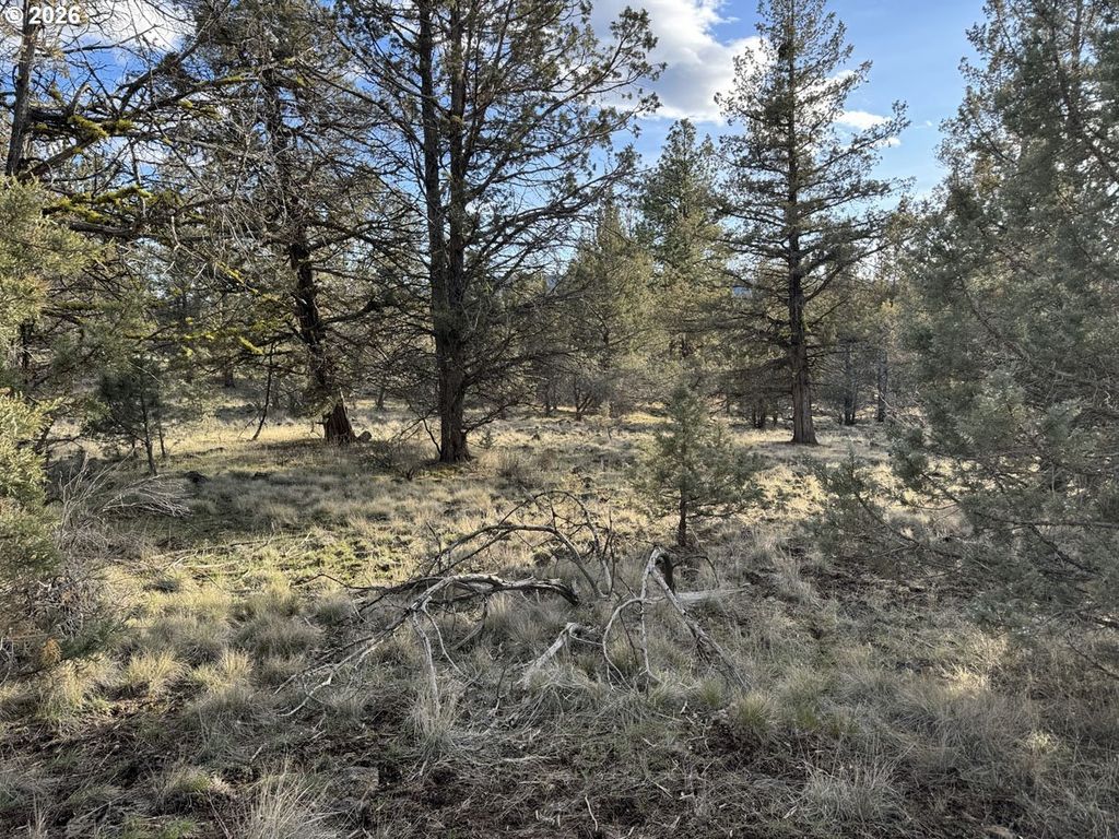 Canvasback Dr 36, Bonanza