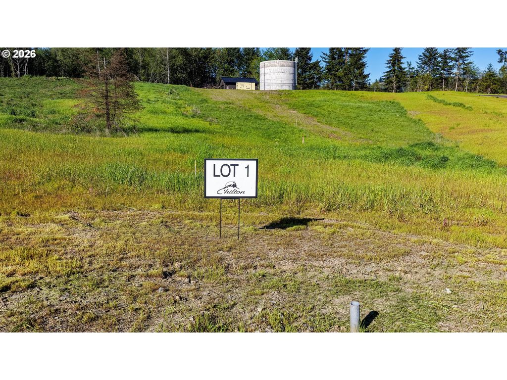 Carmen Sylvia Dr Lot 1, Kalama
