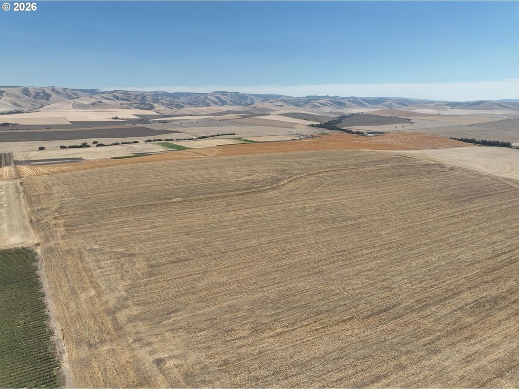Birch Creek Rd, Milton-Freewater
