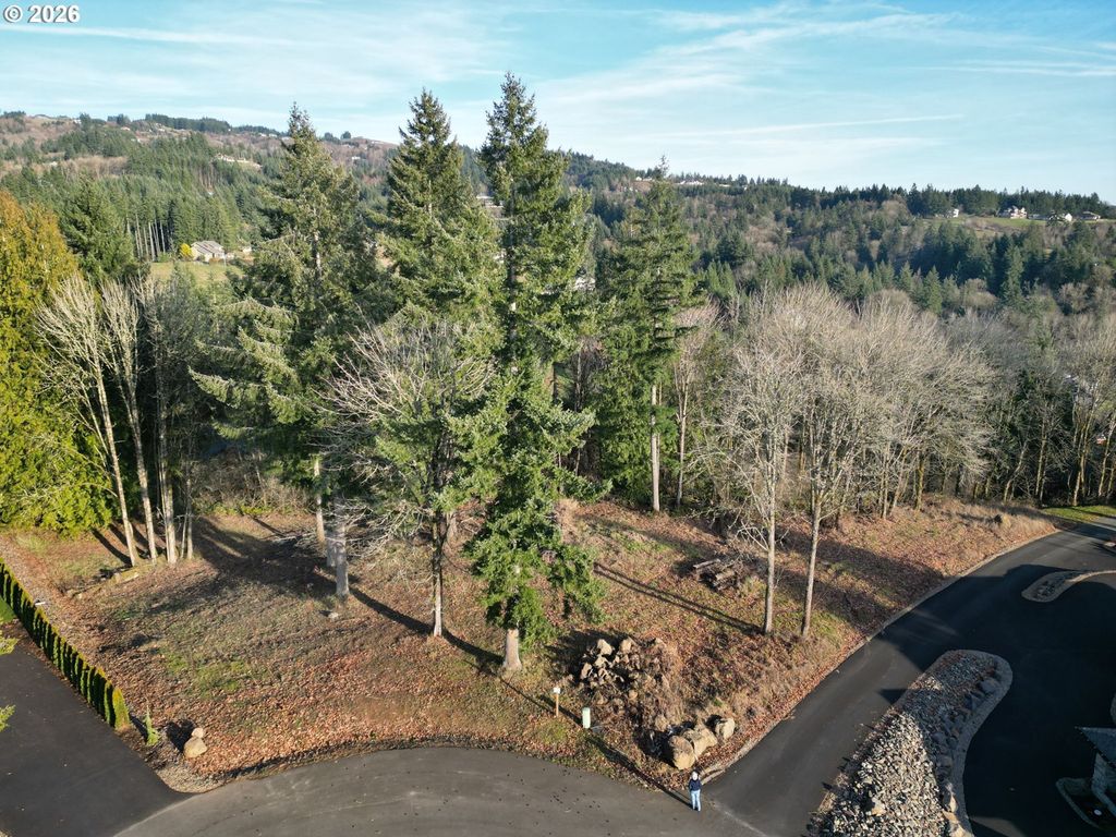 Olivia Ln X, Kalama