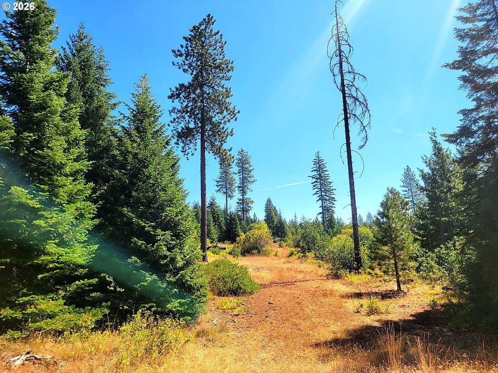 2 Simcoe Mtn Rsrv, Goldendale