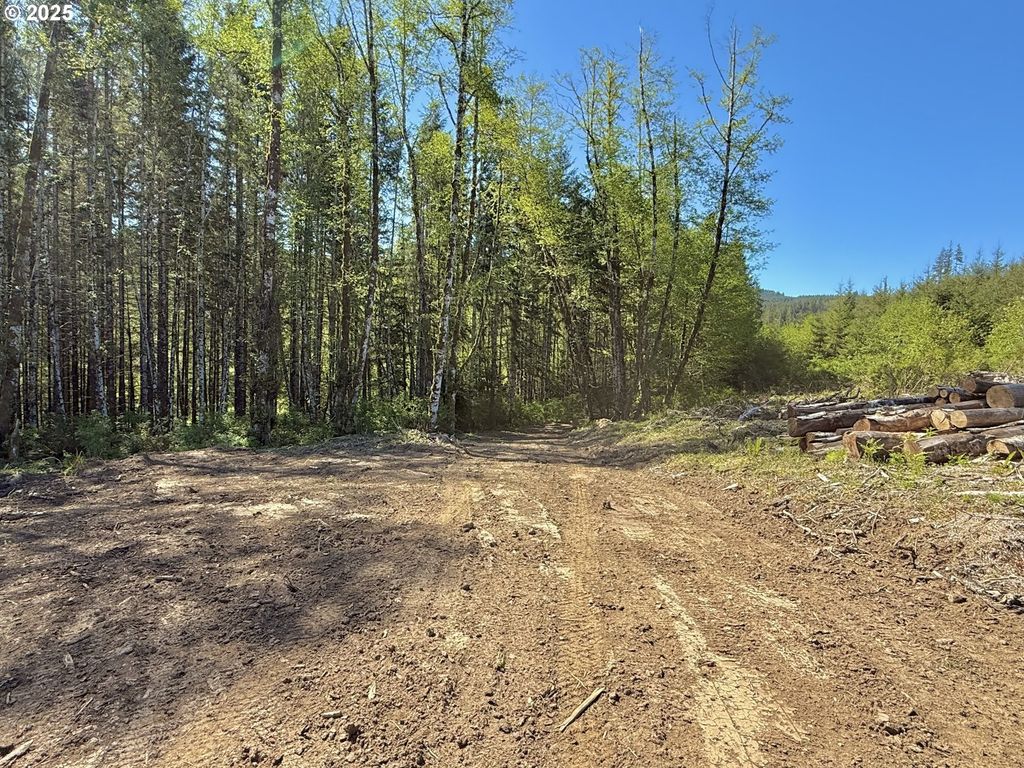 72000 Clatskanie Heights Rd, Clatskanie
