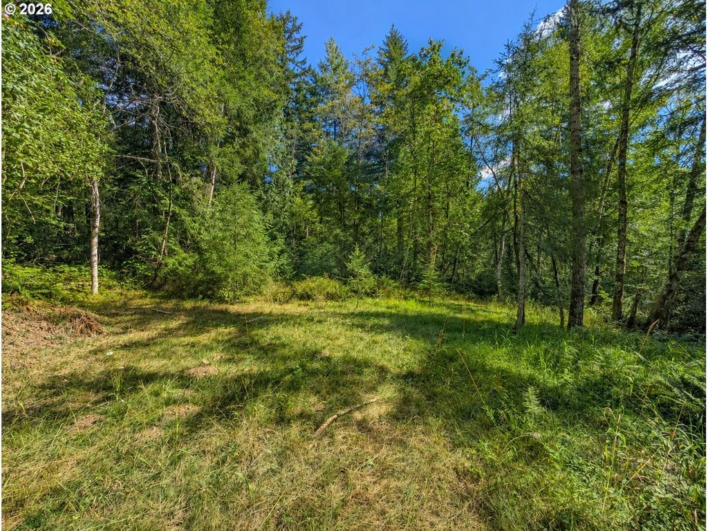 000 Ne Berry Rd, Battle Ground