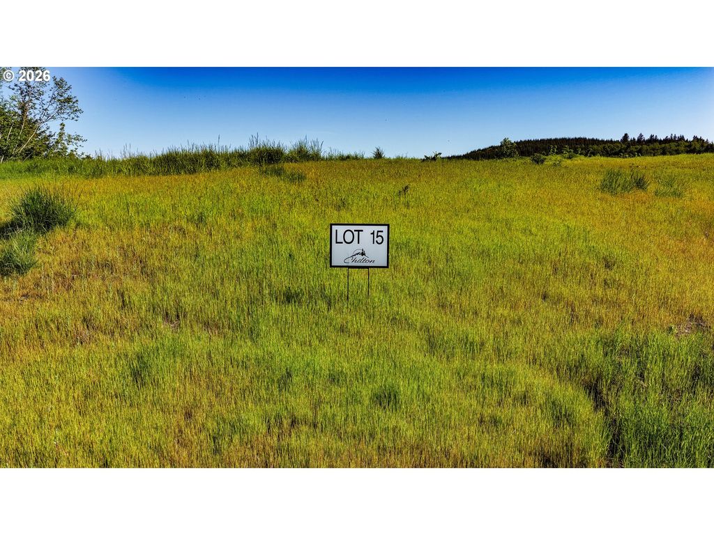 Carmen Sylvia Dr Lot 15, Kalama