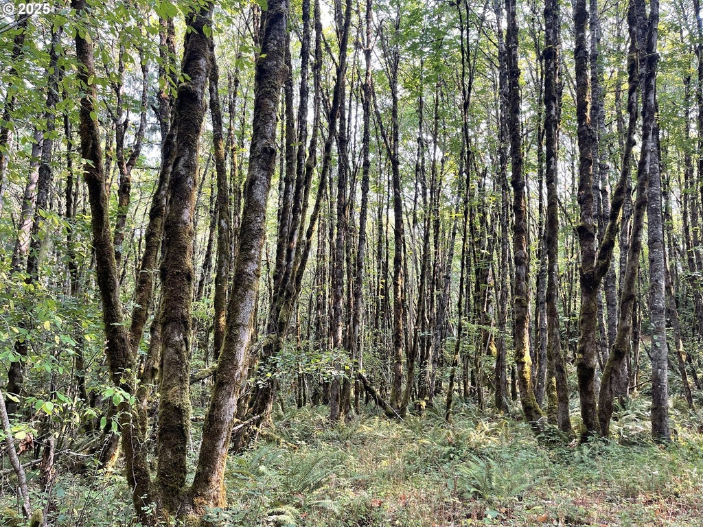 25560 Sw Valley View Ln, Sheridan