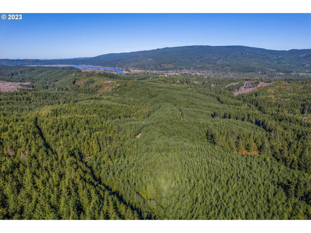 6 Parpala Rd 6, Naselle