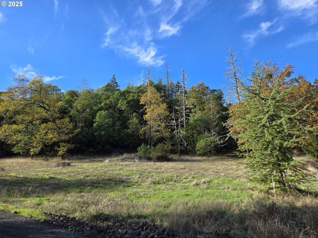 305 Laraut Ln, Roseburg