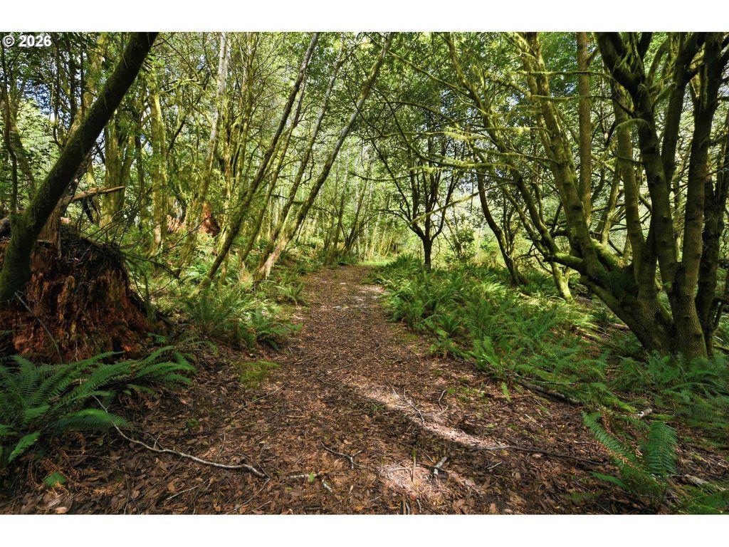 Cougar Rd, Coquille