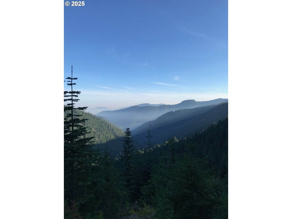 Champion Creek Rd, Cottage Grove