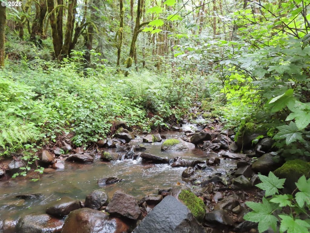 Sylvan Way, Longview