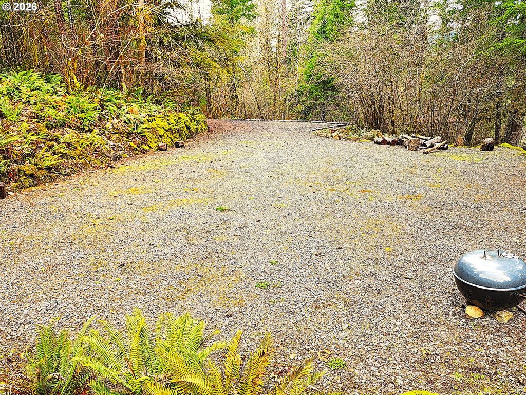 E King Rd, McKenzie Bridge