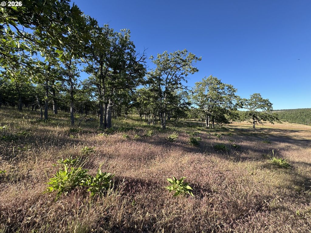 Piney Woods, Goldendale