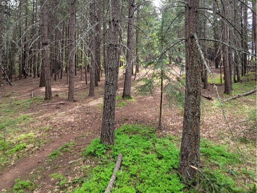 17 Canyon Loop Rd, Lyle