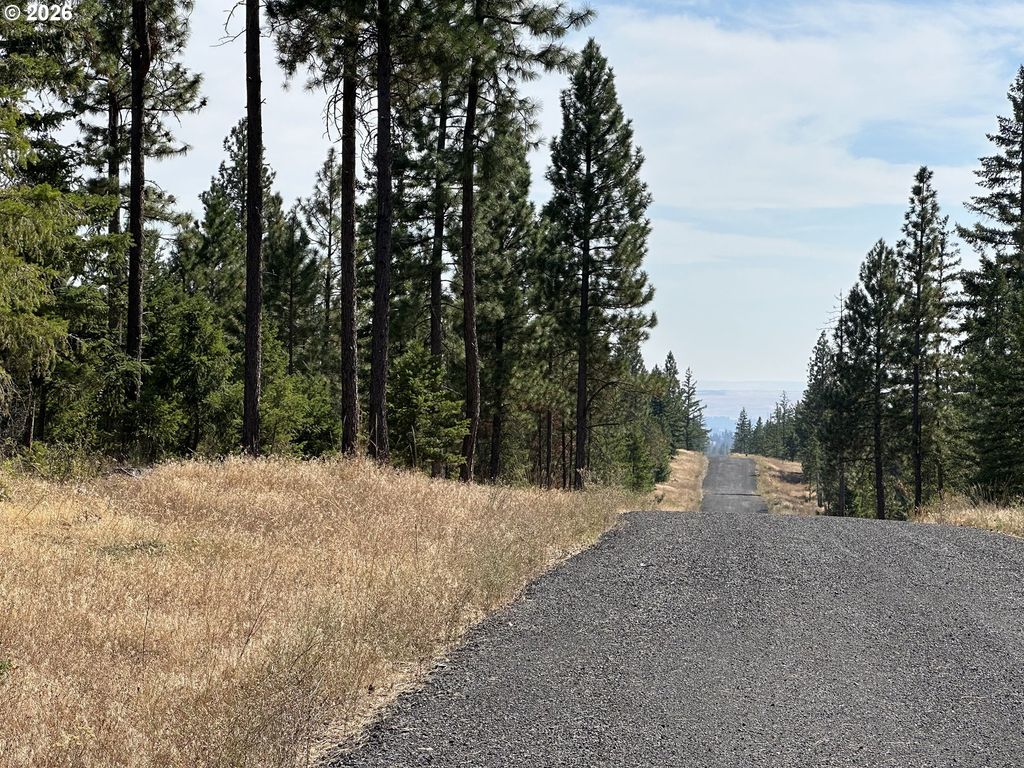 Ranger Rd 2, Goldendale
