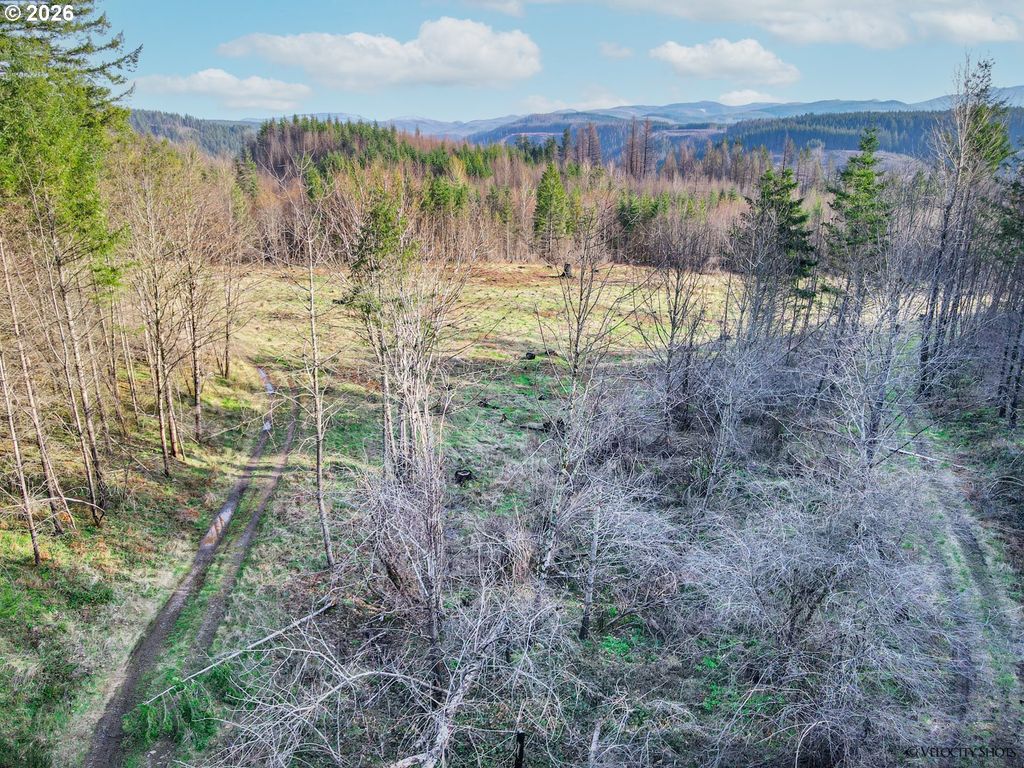 Se Michaels, Estacada