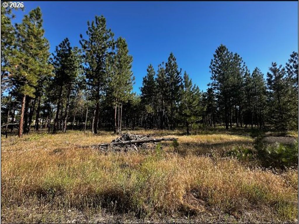 4 Carol Ln, Goldendale