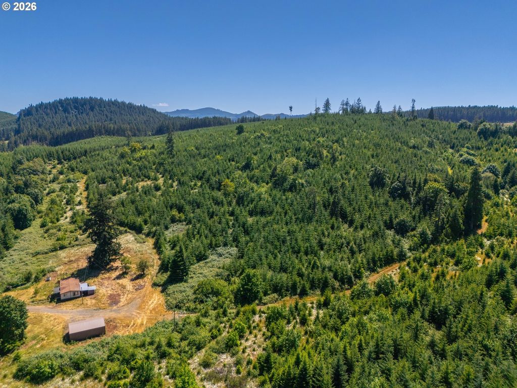 29852 Ingram Rd, Lebanon