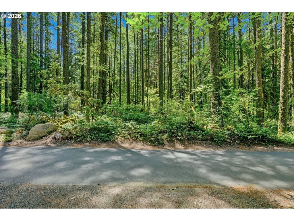 E John Lake Rd, Rhododendron
