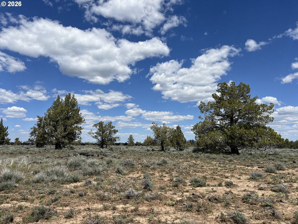 Wildpine Way 6, Beatty