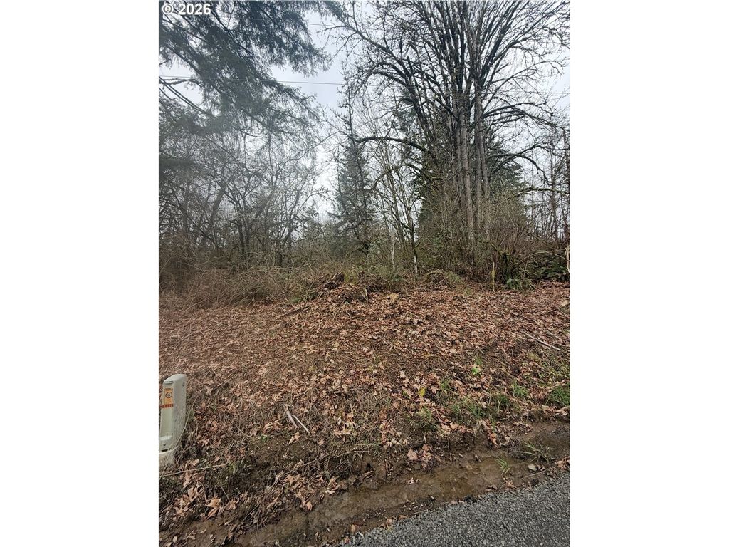 Hutchinson Rd, Rainier
