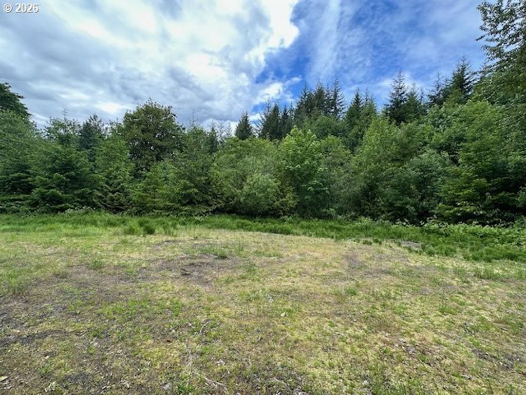 398 Serenity Ln, Kalama