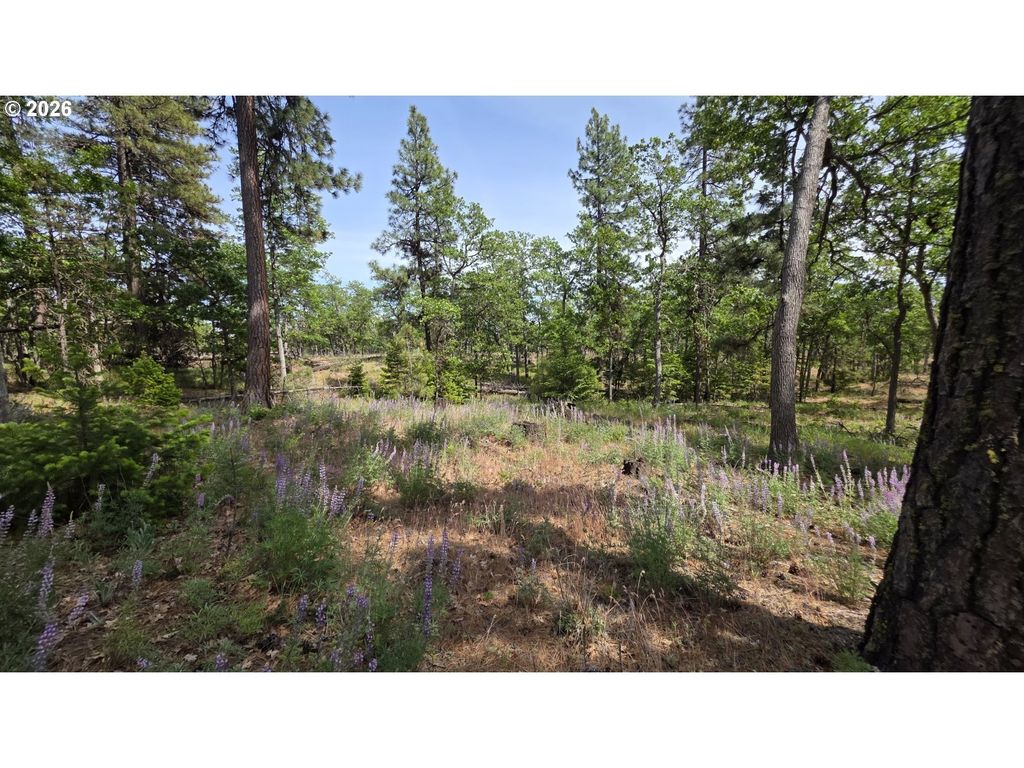 Juniper Lot 119, Goldendale