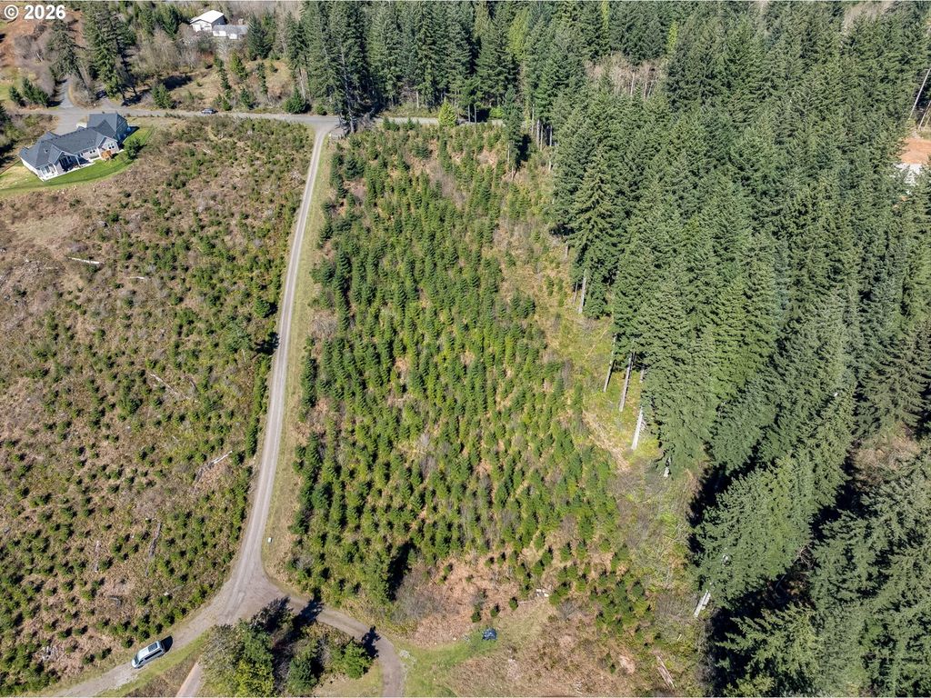 Ne 94 St 41, Camas