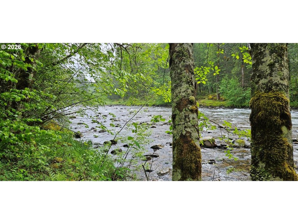 63956 E Barlow Trail Rd, Rhododendron