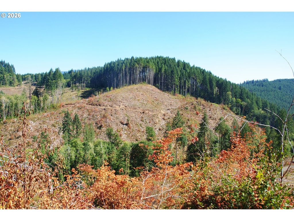 00 Van Horn (140) Rd, Alsea