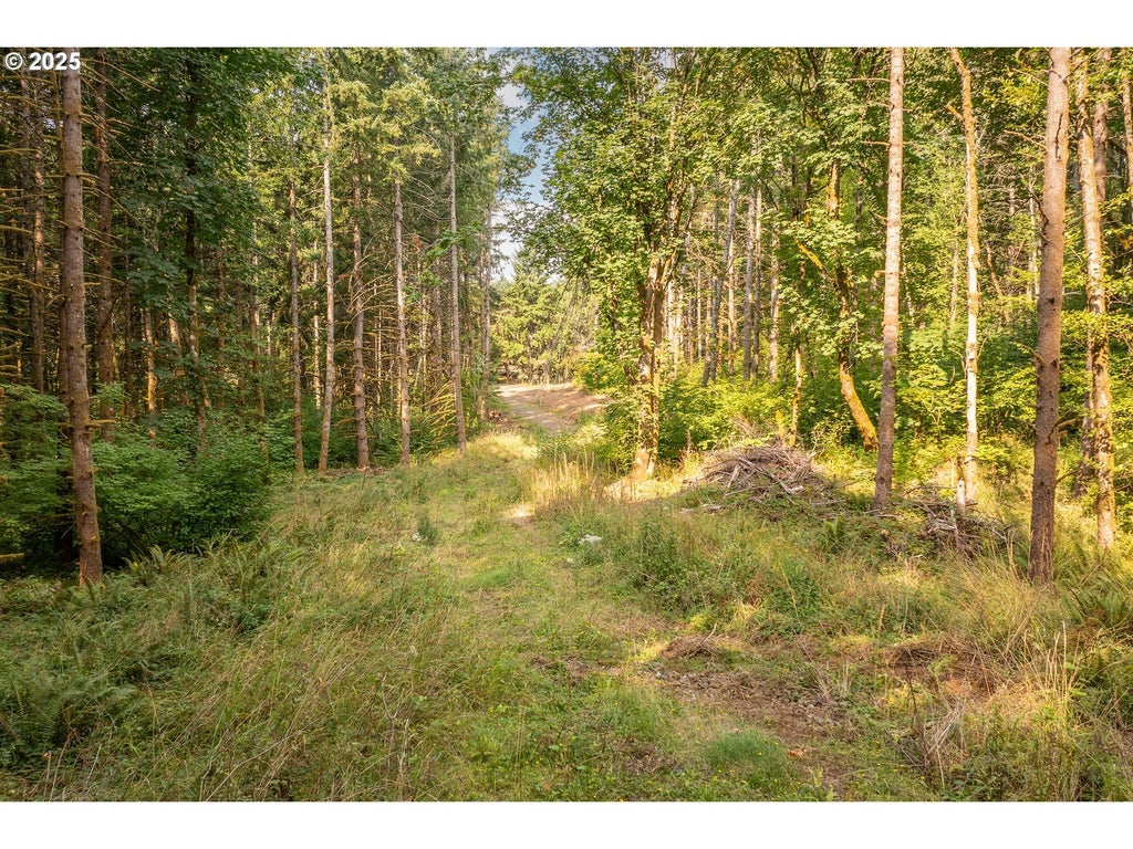 11975 Se Zion Hill Dr, Damascus