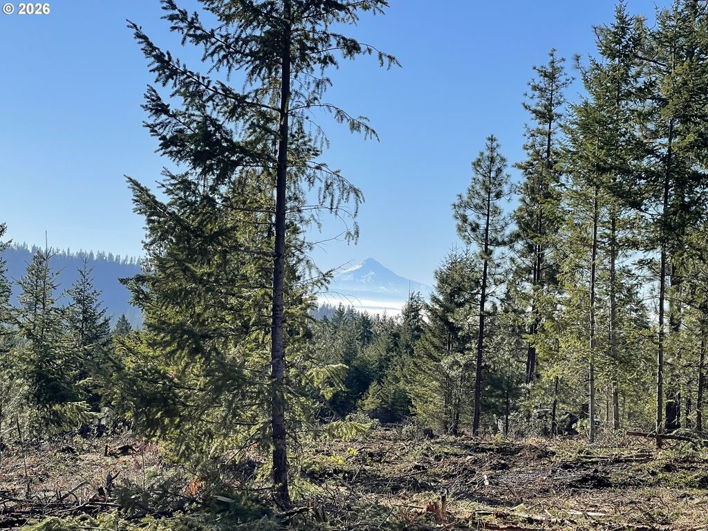 1027 Cedar Valley Rd, Goldendale
