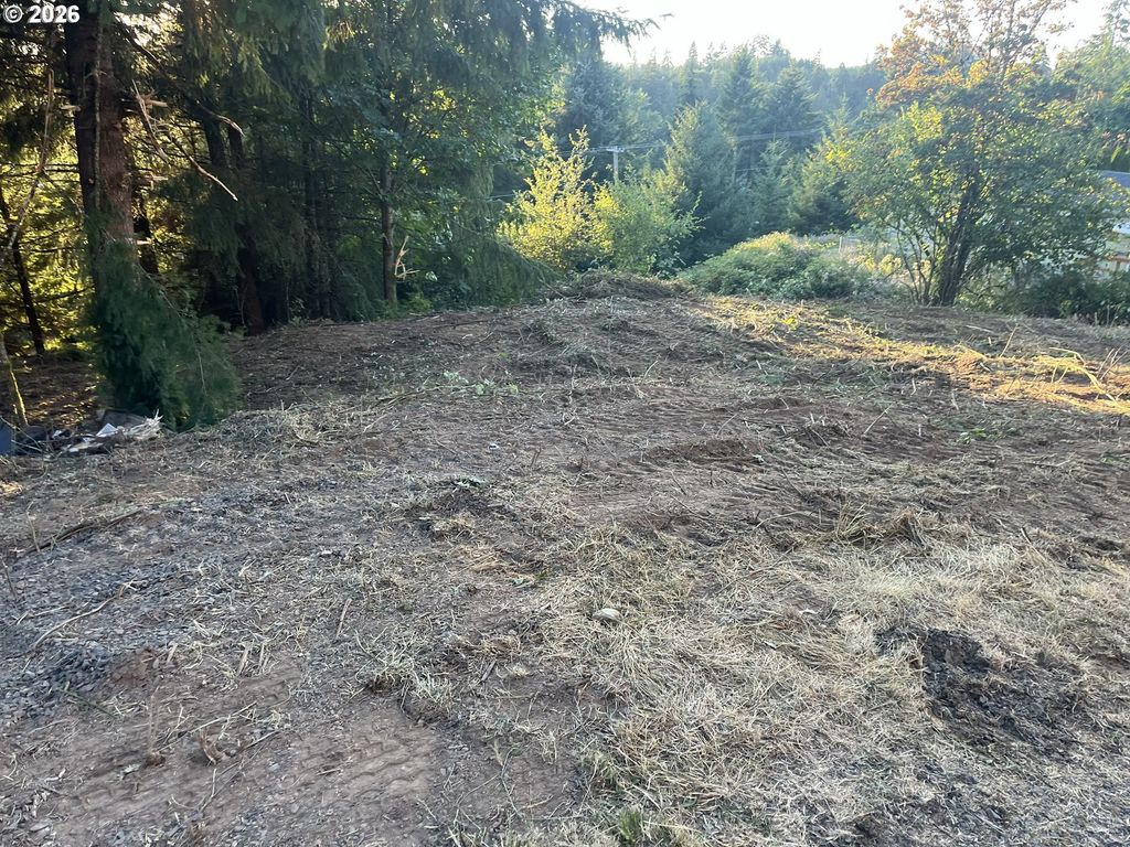 Ne Jabez St, Winlock