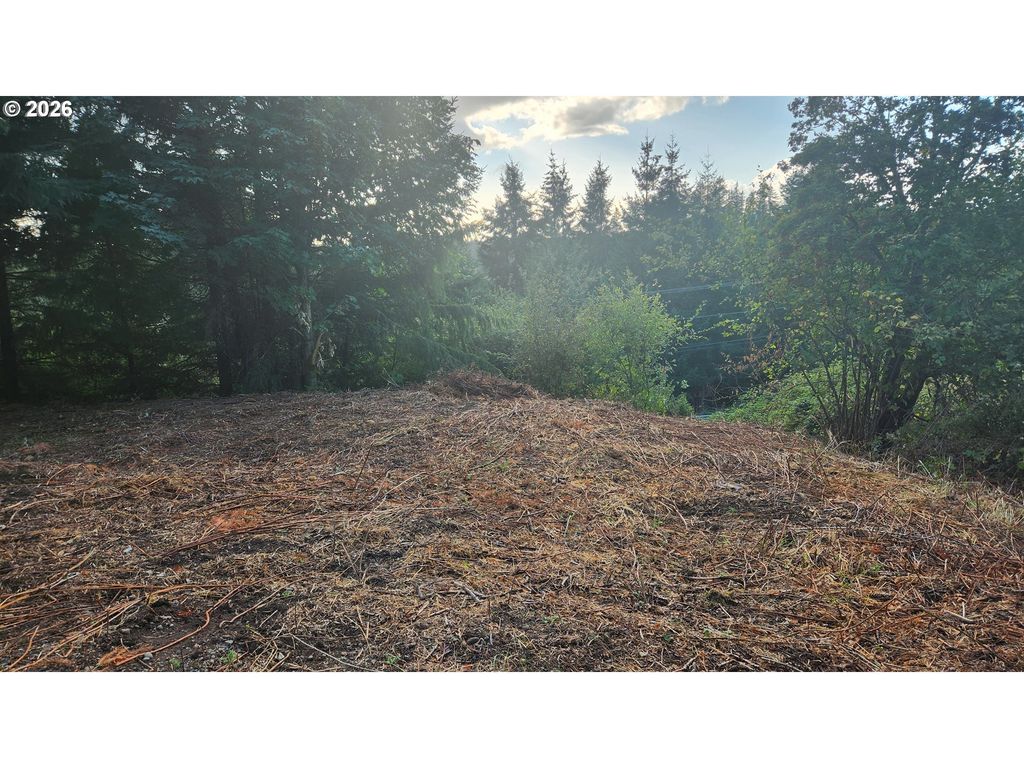 Ne Jabez St, Winlock